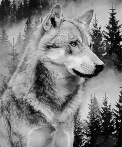 Wild Black And White Wolf Paint By Number