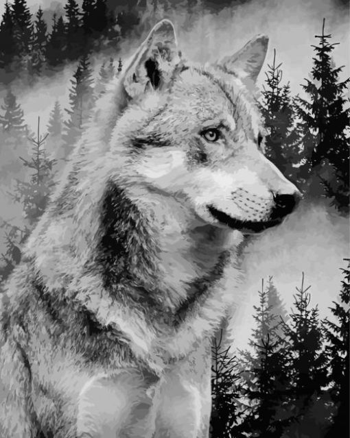 Wild Black And White Wolf Paint By Number