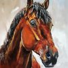 Abstract Brown Horse Head Paint By Numbers