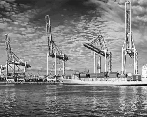 Black And White Rotterdam Harbor Paint By Numbers