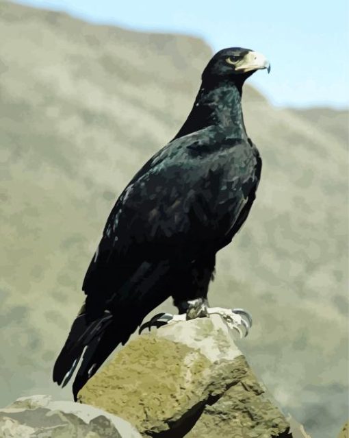 Black Eagle On Rock Paint By Numbers