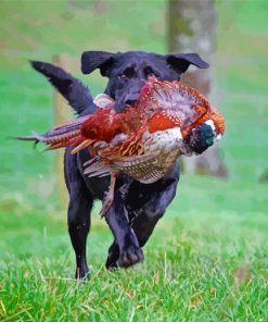 Black Labrador Dog Hunting Bird Paint By Numbers