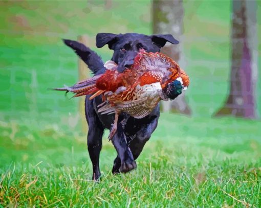 Black Labrador Dog Hunting Bird Paint By Numbers