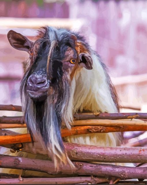 Farm Nigerian Dwarf Goat Paint By Numbers