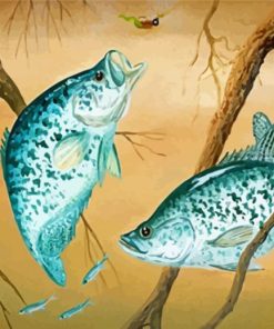 Finshing Crappie Fishes Paint By Number