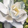Gardenia Flower Paint By Numbers