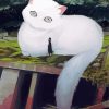 White Cute Japanese Giant Cat Paint By Numbers
