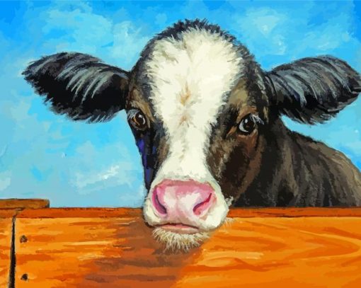 Baby Cow By Fence Paint By Numbers