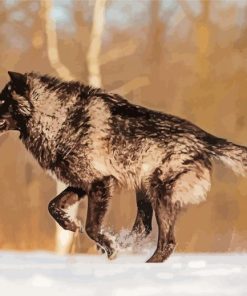 Black And Brown Wolf In Snow Paint By Numbers