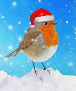 Christmas Robin In Snow Paint By Numbers