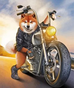 Dog Riding Motorcycle Paint By Numbers