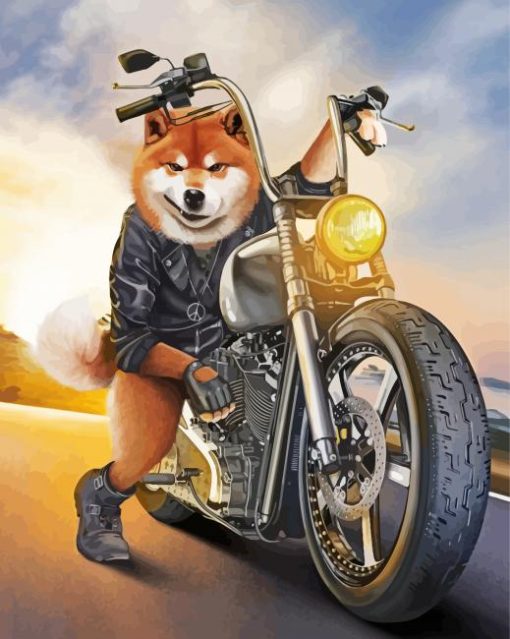 Dog Riding Motorcycle Paint By Numbers