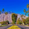 Palm Desert City Paint By Numbers