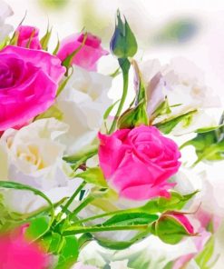 Pink And White Roses Flowers Paint By Numbers