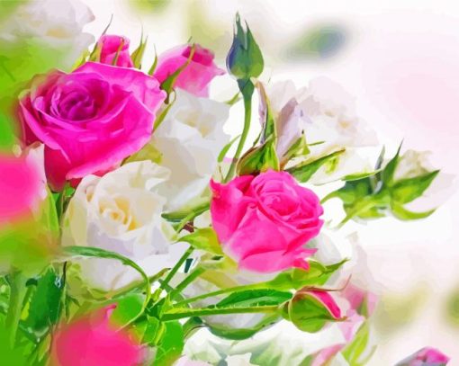 Pink And White Roses Flowers Paint By Numbers