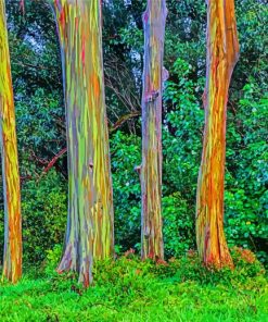 Rainbow Eucalyptus Trees Paint By Numbers