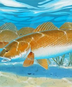 Red Drum Undersea Paint By Numbers