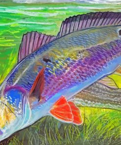 Red Drum Fish Paint By Numbers