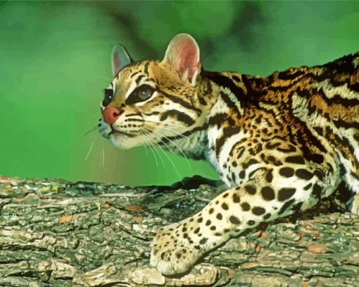 The Ocelot Cat Paint By Numbers
