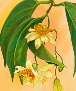 The Passionflower Paint By Numbers
