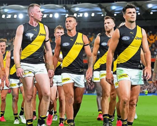 The Richmond Tigers Football Club Paint By Numbers
