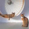 The Cats Wall Wheel Paint By Numbers