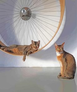 The Cats Wall Wheel Paint By Numbers
