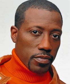 Wesley Snipes Paint By Numbers
