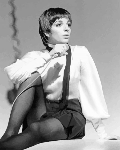 Young Liza Minnelli Black And white Paint By Numbers