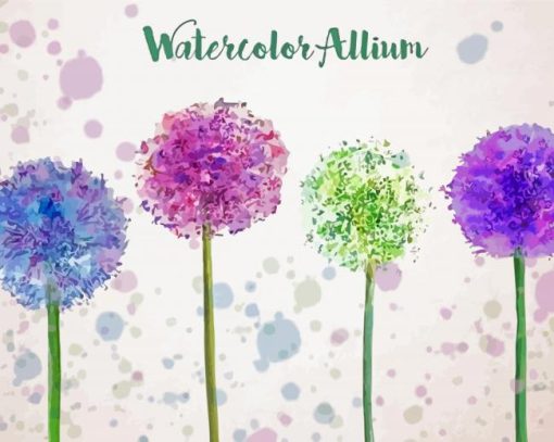Allium Art Paint By Numbers