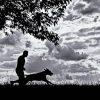 Black And White Man And Dog Silhouette Paint By Numbers