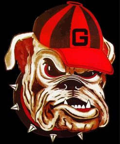 Bulldog With Hat Paint By Numbers