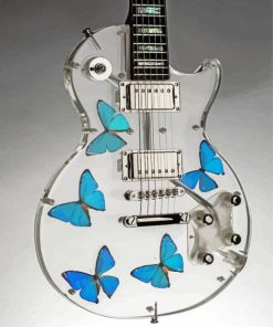 Butterfly Guitar Paint By Numbers