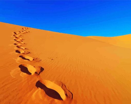 Footsteps In The Desert Paint By Numbers