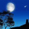 Lonely Cat Silhouette At Night Paint By Numbers