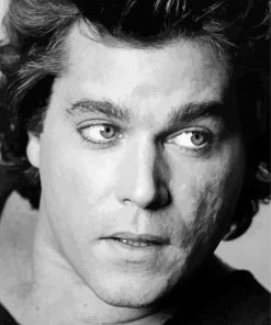 Monochrome Ray Liotta Paint By Numbers