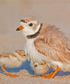 Piping Plover And Chicks Paint By Numbers