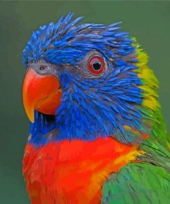 Tropical Colorful Lory Paint By Numbers