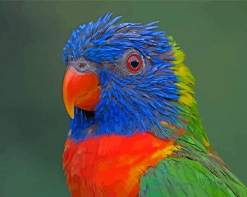 Tropical Colorful Lory Paint By Numbers