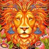 Abstract Lion Head Art Paint By Numbers