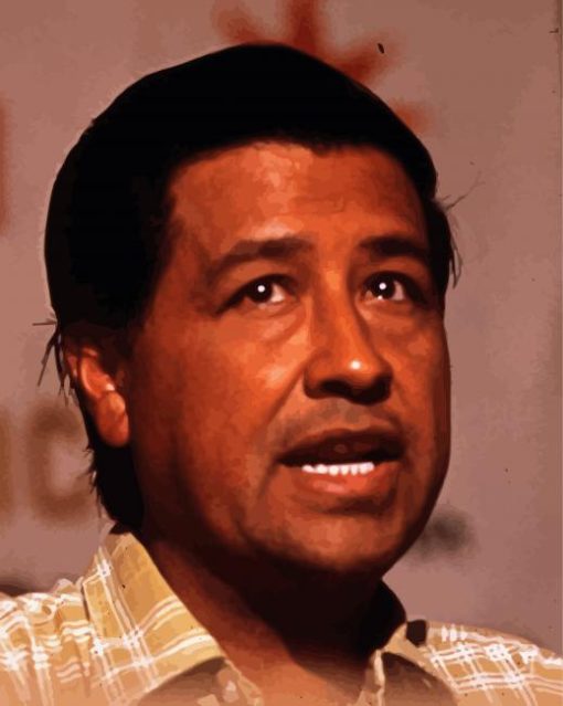 American Activist Cesar Chavez Paint By Number