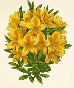 Antique Yellow Azalea Plant Paint By Numbers