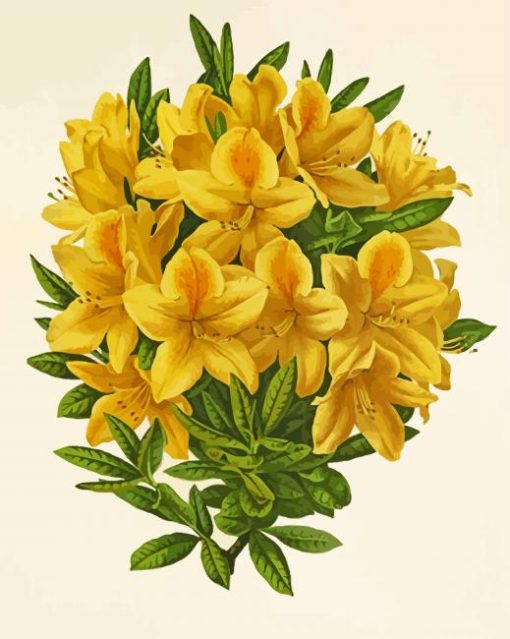 Antique Yellow Azalea Plant Paint By Numbers
