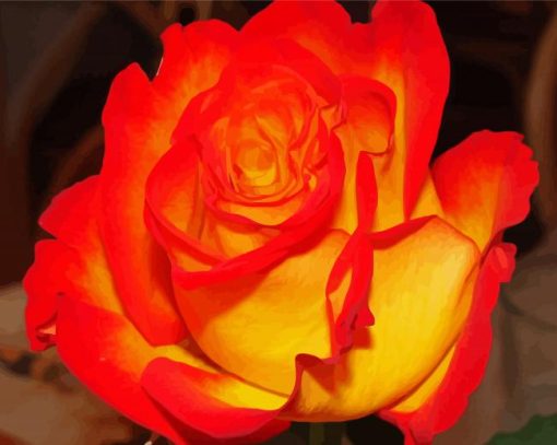 Blooming Red And Yellow Rose Paint By Numbers
