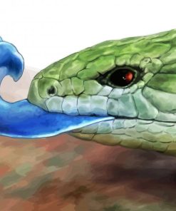 Blue Tongue Tiliqua Gigas Paint By Numbers