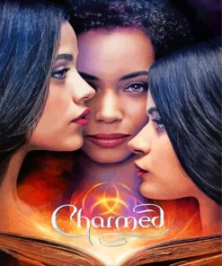 Charmed Serie Poster Paint By Number