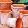 Clay Pots Paint By Numbers