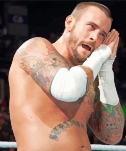 CM Punk WWE Paint By Number