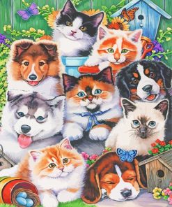 Dogs And Kittens Animals Art Paint By Number