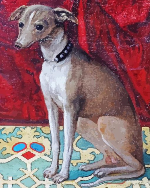 Grey Italian Greyhound Paint By Numbers